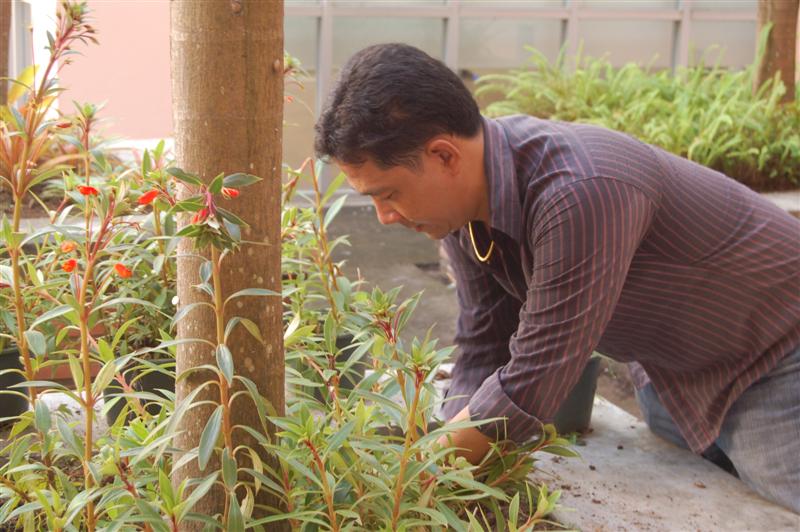 ../Picture/2552/DSC_0055 (Medium).JPG